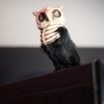 Das Szene-Markt Grand Opening