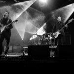 Pink Turns Blue - New Waves Day 2019